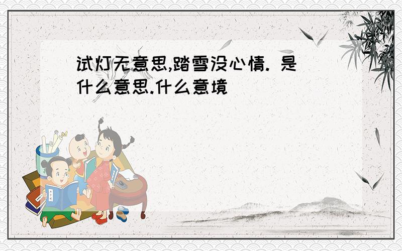 试灯无意思,踏雪没心情. 是什么意思.什么意境