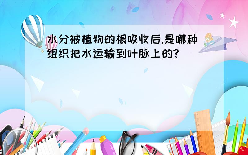 水分被植物的根吸收后,是哪种组织把水运输到叶脉上的?