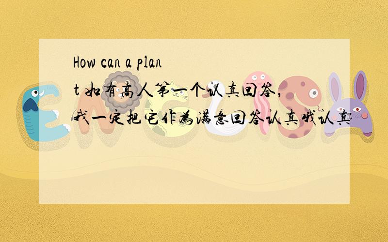 How can a plant 如有高人第一个认真回答，我一定把它作为满意回答认真哦认真