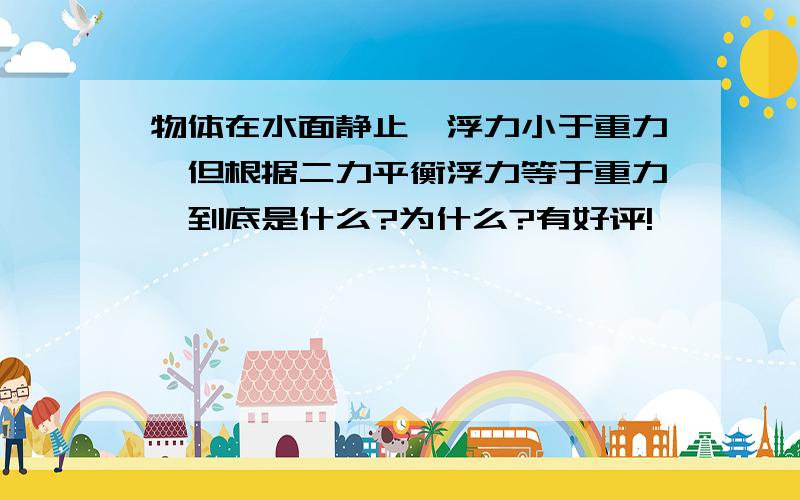 物体在水面静止,浮力小于重力,但根据二力平衡浮力等于重力,到底是什么?为什么?有好评!