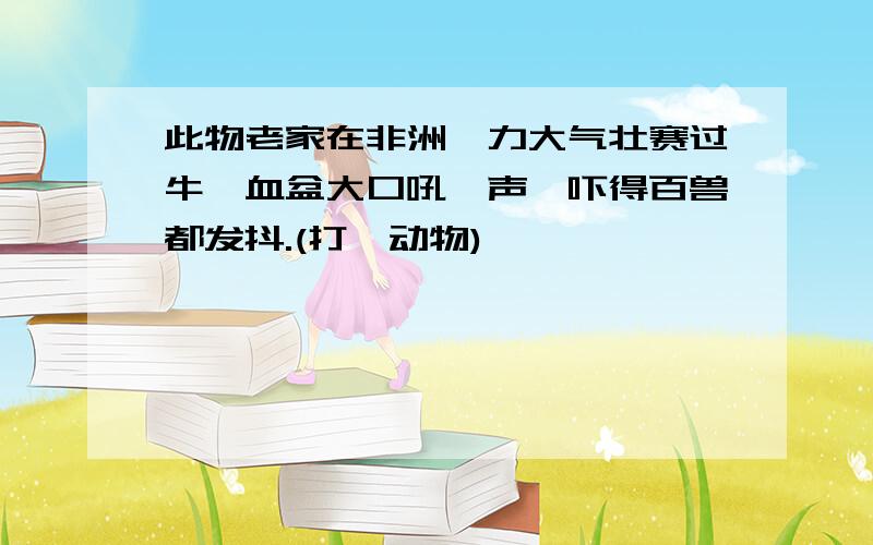 此物老家在非洲,力大气壮赛过牛,血盆大口吼一声,吓得百兽都发抖.(打一动物)