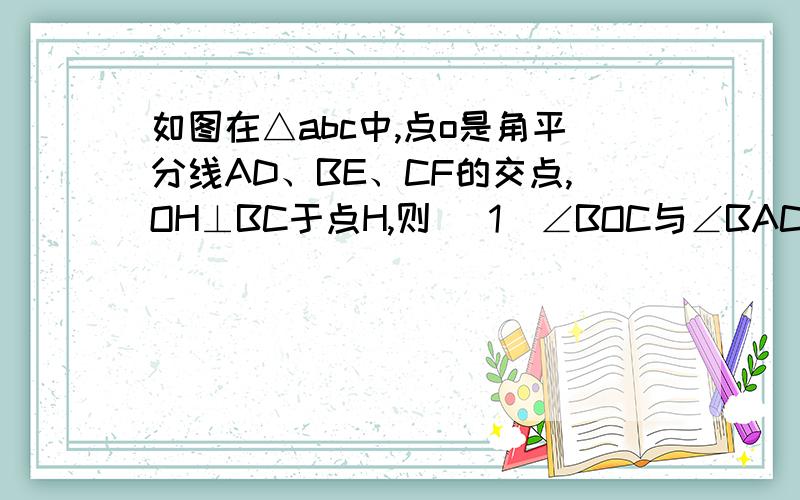 如图在△abc中,点o是角平分线AD、BE、CF的交点,OH⊥BC于点H,则 （1）∠BOC与∠BAC有何数量关系?（2）你还可以类比推出哪些角之间有∠BOC与∠BAC那样的数量关系?