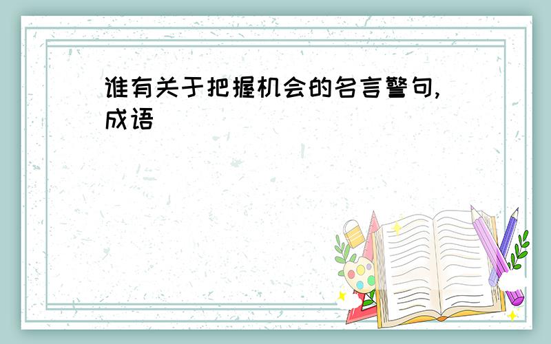 谁有关于把握机会的名言警句,成语