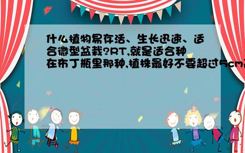 什么植物易存活、生长迅速、适合微型盆栽?RT,就是适合种在布丁瓶里那种,植株最好不要超过5cm高.谢了..