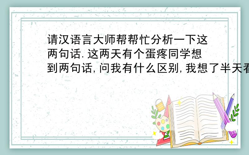 请汉语言大师帮帮忙分析一下这两句话.这两天有个蛋疼同学想到两句话,问我有什么区别,我想了半天看不出什么区别...希望各位高手帮忙分析一下...一句是:在我完成任务之前不要打扰我.另