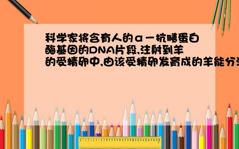 科学家将含有人的α－抗胰蛋白酶基因的DNA片段,注射到羊的受精卵中,由该受精卵发育成的羊能分泌含α－抗胰蛋白酶的奶.这一过程不涉及 ( )A．DNA按照碱基互补配对原则自我复制B．DNA以其一