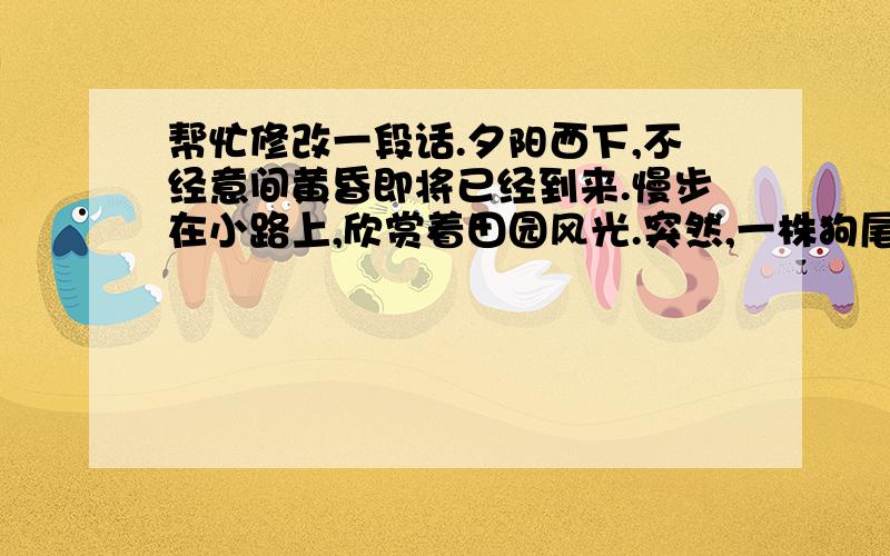 帮忙修改一段话.夕阳西下,不经意间黄昏即将已经到来.慢步在小路上,欣赏着田园风光.突然,一株狗尾巴草被我吸引住了,它默默地站在那儿,似乎也被这独特的风景陶醉了.多美的黄昏啊.