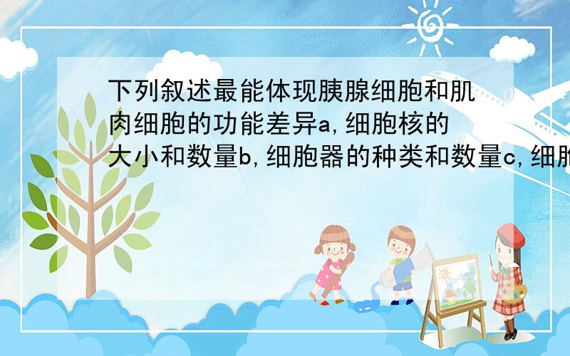 下列叙述最能体现胰腺细胞和肌肉细胞的功能差异a,细胞核的大小和数量b,细胞器的种类和数量c,细胞膜上载体的种类和数量d,细胞的大小和形态