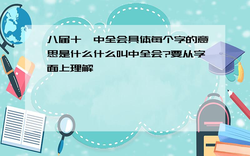 八届十一中全会具体每个字的意思是什么什么叫中全会?要从字面上理解