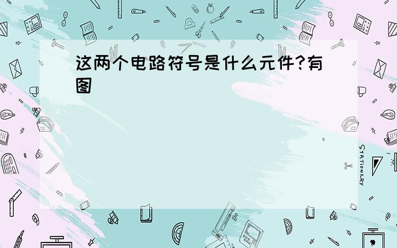 这两个电路符号是什么元件?有图