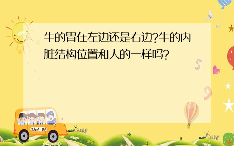 牛的胃在左边还是右边?牛的内脏结构位置和人的一样吗?