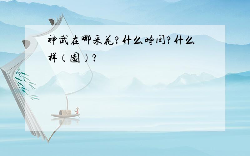 神武在哪采花?什么时间?什么样（图）?