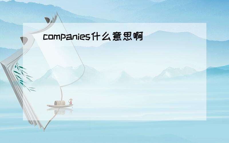 companies什么意思啊