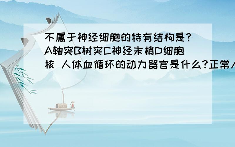 不属于神经细胞的特有结构是?A轴突B树突C神经末梢D细胞核 人体血循环的动力器官是什么?正常人的原尿中不含有什么?把动脉血送回心脏的血管是什么?鼻涕是在什么形成的?痰液是在什么形成