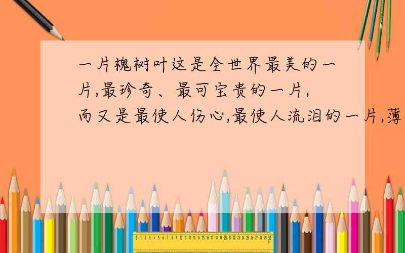 一片槐树叶这是全世界最美的一片,最珍奇、最可宝贵的一片,而又是最使人伤心,最使人流泪的一片,薄薄的、干的、浅灰黄色的槐树叶.忘了是在江南、江北是在哪个城市,哪一个园子里捡来的