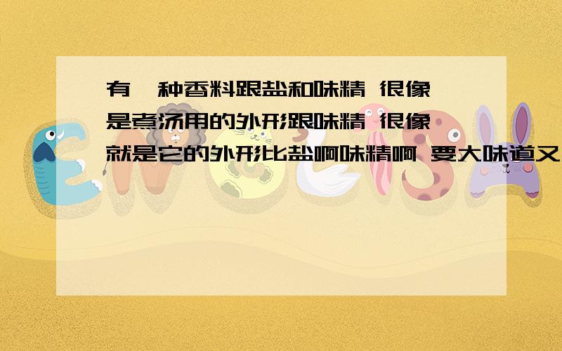 有一种香料跟盐和味精 很像 是煮汤用的外形跟味精 很像 就是它的外形比盐啊味精啊 要大味道又不咸 不酸 不甜 不苦 不辣 就是感觉有那个平润 有一点点香