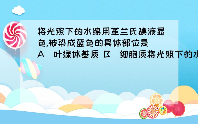 将光照下的水绵用革兰氏碘液显色,被染成蓝色的具体部位是 A．叶绿体基质 B．细胞质将光照下的水绵用革兰氏碘液显色,被染成蓝色的具体部位是A．叶绿体基质 B．细胞质基质和细胞核 C．