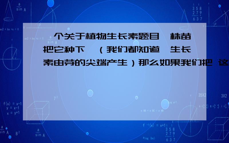 一个关于植物生长素题目一株苗把它种下,（我们都知道,生长素由芽的尖端产生）那么如果我们把 这株苗倒着种下去（即芽朝下,根朝上,）它会怎么生长?我的意思是,假如他可以成活,那么他