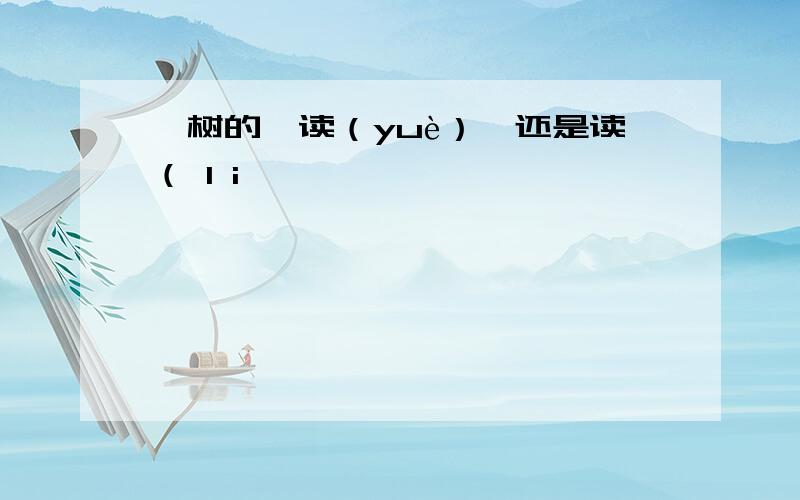 栎树的栎读（yuè）,还是读（ l i