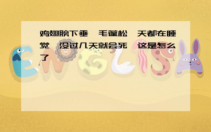 鸡翅膀下垂,毛蓬松一天都在睡觉,没过几天就会死,这是怎么了