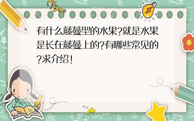 有什么藤蔓型的水果?就是水果是长在藤蔓上的?有哪些常见的?求介绍!