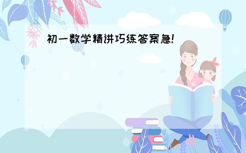 初一数学精讲巧练答案急!