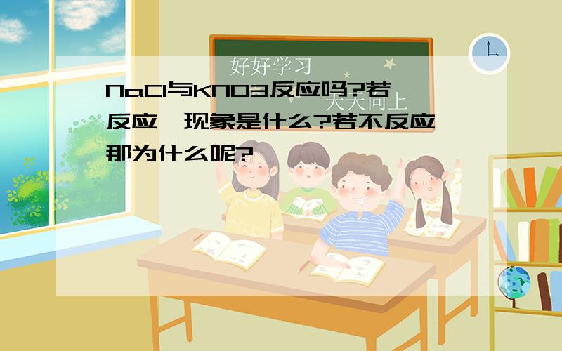 NaCl与KNO3反应吗?若反应,现象是什么?若不反应,那为什么呢?