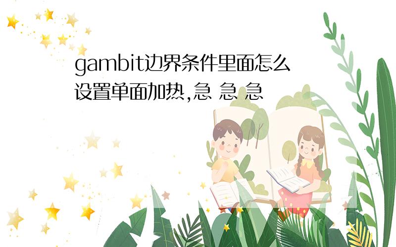 gambit边界条件里面怎么设置单面加热,急 急 急