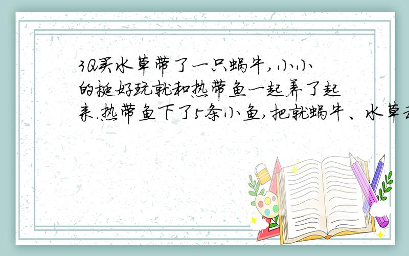 3Q买水草带了一只蜗牛,小小的挺好玩就和热带鱼一起养了起来.热带鱼下了5条小鱼,把就蜗牛、水草和小鱼一起转到了小鱼缸里.只是好景不长,小鱼仔少了一条,活不见鱼,死不见尸.哪位有经验