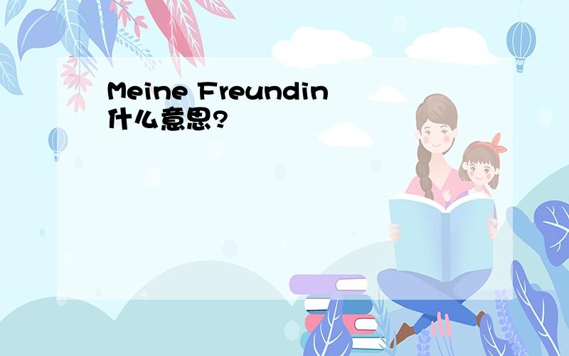 Meine Freundin什么意思?