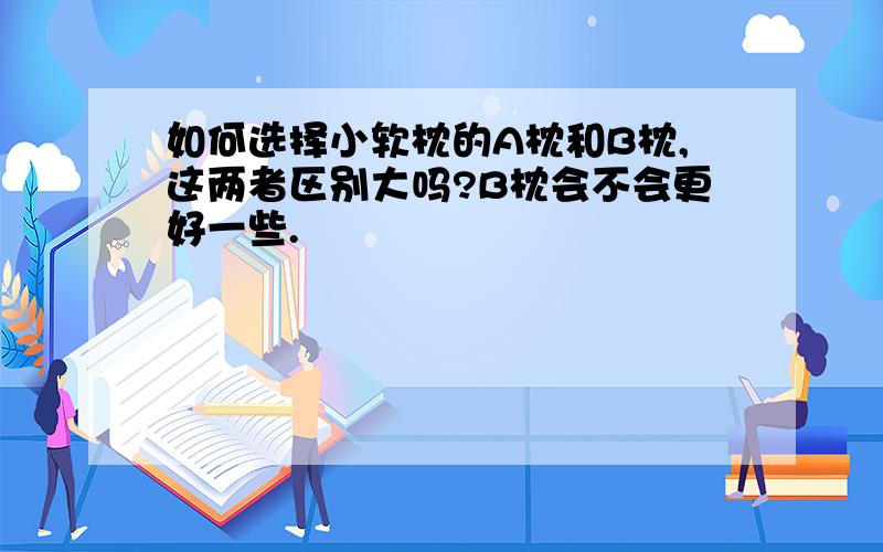 如何选择小软枕的A枕和B枕,这两者区别大吗?B枕会不会更好一些.