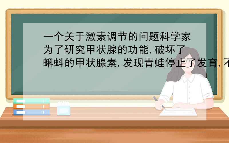 一个关于激素调节的问题科学家为了研究甲状腺的功能,破坏了蝌蚪的甲状腺素,发现青蛙停止了发育,不能发育成青蛙.科学家在饲养缸的水中放入甲状腺素,发现破坏了甲状腺的蝌蚪又发育成