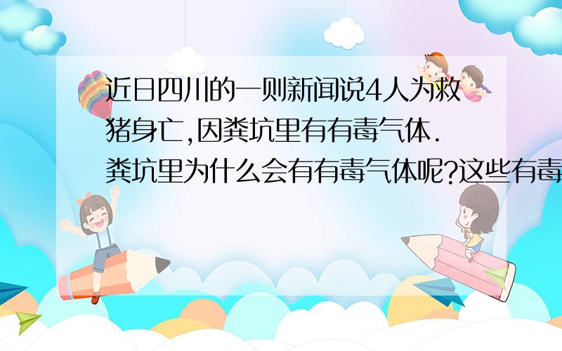 近日四川的一则新闻说4人为救猪身亡,因粪坑里有有毒气体.粪坑里为什么会有有毒气体呢?这些有毒气体又是些什么气体呢?