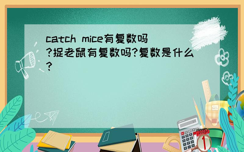 catch mice有复数吗?捉老鼠有复数吗?复数是什么?