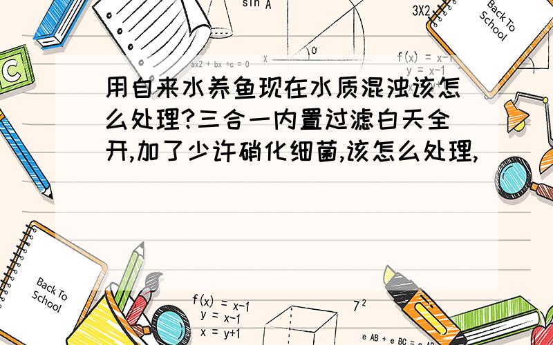 用自来水养鱼现在水质混浊该怎么处理?三合一内置过滤白天全开,加了少许硝化细菌,该怎么处理,