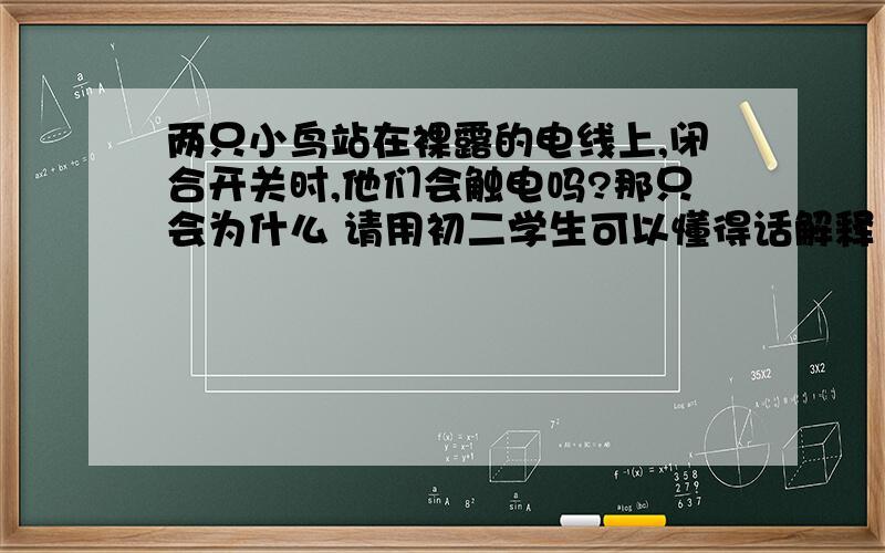 两只小鸟站在裸露的电线上,闭合开关时,他们会触电吗?那只会为什么 请用初二学生可以懂得话解释