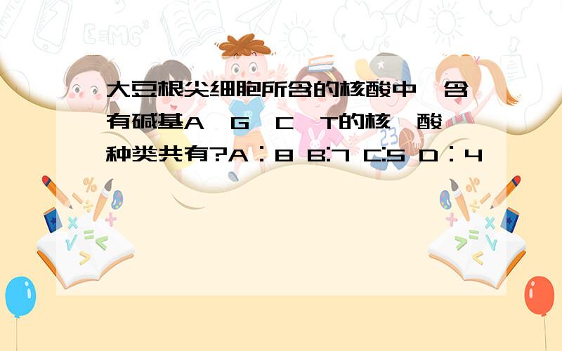 大豆根尖细胞所含的核酸中,含有碱基A,G,C,T的核苷酸种类共有?A：8 B:7 C:5 D：4