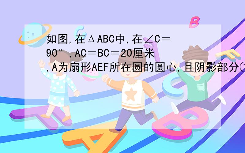 如图,在ΔABC中,在∠C＝90°,AC＝BC＝20厘米,A为扇形AEF所在圆的圆心,且阴影部分①与②的面积相等,求扇形所在圆的面积.