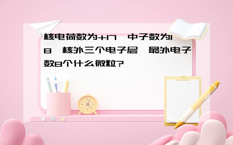 核电荷数为+17,中子数为18,核外三个电子层,最外电子数8个什么微粒?