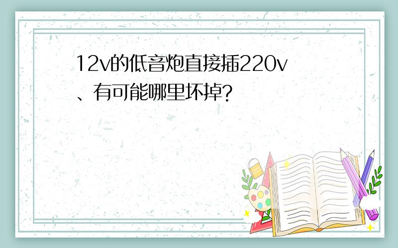 12v的低音炮直接插220v、有可能哪里坏掉?