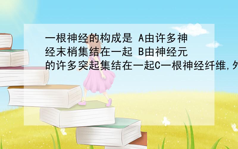 一根神经的构成是 A由许多神经末梢集结在一起 B由神经元的许多突起集结在一起C一根神经纤维,外面包着结缔组织 D由许多神经纤维汇集成束,外面包着组织膜