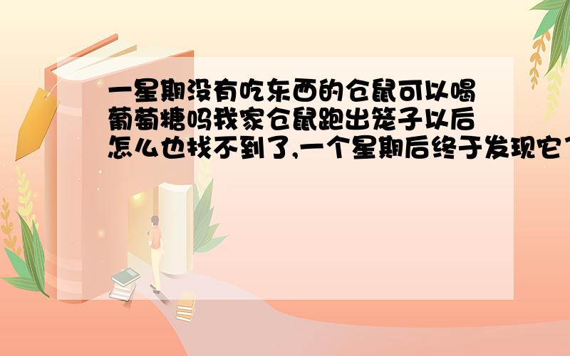 一星期没有吃东西的仓鼠可以喝葡萄糖吗我家仓鼠跑出笼子以后怎么也找不到了,一个星期后终于发现它了,它已经瘦得不成样子了,现在猛喝水,身上也被尿打湿了,但是它都不吃东西,不知道是