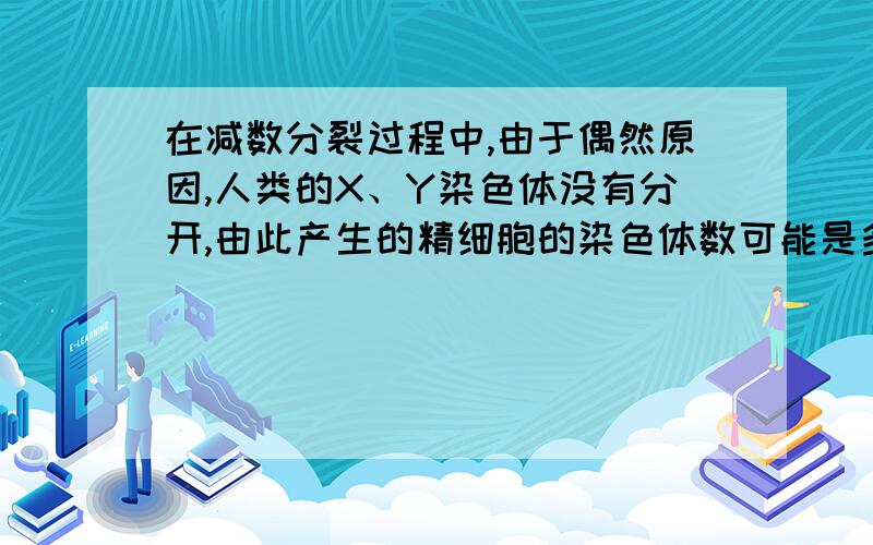 在减数分裂过程中,由于偶然原因,人类的X、Y染色体没有分开,由此产生的精细胞的染色体数可能是多少