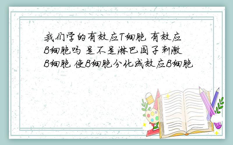 我们学的有效应T细胞 有效应B细胞吗 是不是淋巴因子刺激B细胞 使B细胞分化成效应B细胞