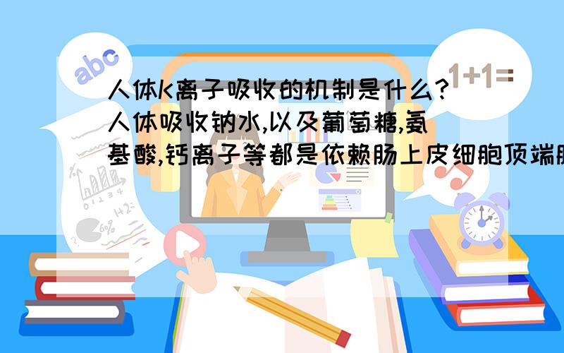 人体K离子吸收的机制是什么?人体吸收钠水,以及葡萄糖,氨基酸,钙离子等都是依赖肠上皮细胞顶端膜钠泵的继发主动转运,那么岂不是K离子被钠泵泵到肠腔被排泄?那钾离子到底是在哪个部位