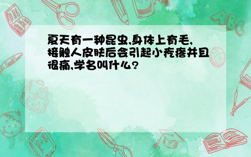 夏天有一种昆虫,身体上有毛,接触人皮肤后会引起小疙瘩并且很痛,学名叫什么?