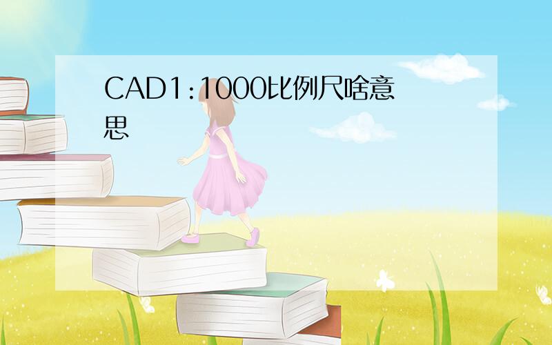 CAD1:1000比例尺啥意思