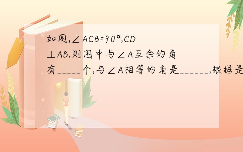 如图,∠ACB=90°,CD⊥AB,则图中与∠A互余的角有_____个,与∠A相等的角是______,根据是______.