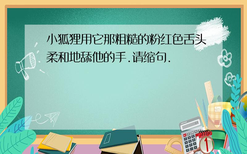 小狐狸用它那粗糙的粉红色舌头柔和地舔他的手.请缩句.