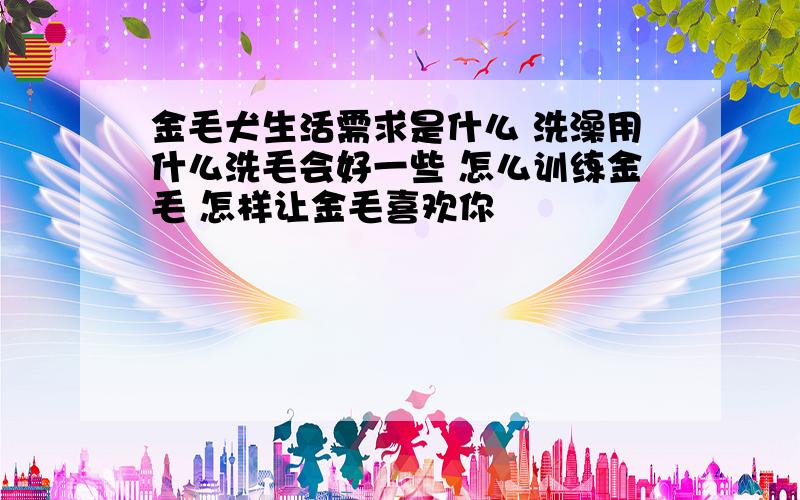 金毛犬生活需求是什么 洗澡用什么洗毛会好一些 怎么训练金毛 怎样让金毛喜欢你